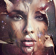 轰炸电话网页版