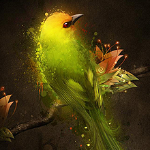 账号激活码的网页版电话攻击